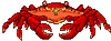 Description : crabes_010