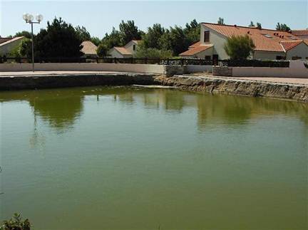 Description&nbsp;: Description&nbsp;: 2005-06-02 (Small)